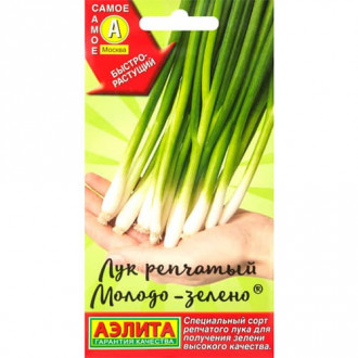 Лук репчатый Молодо-зелено Аэлита изображение 1