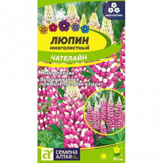 Люпин Чателайн, семена изображение 11