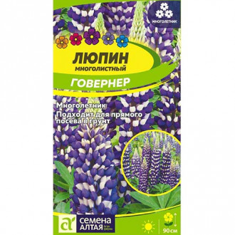 Люпин Говернер, семена изображение 16