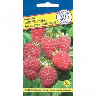 Малина ремонтантная Августина Престиж изображение 8