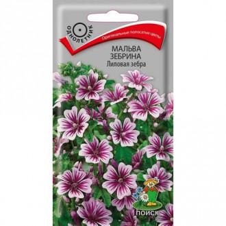 Мальва Лиловая зебра, семена изображение 9