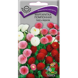 Маргаритка помпонная, смесь окрасок изображение 17