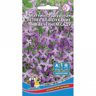 Маттиола двурогая Летнее Благоухание в вечернем саду, семена изображение 15