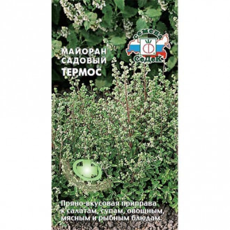 Майоран садовый Термос, семена изображение 3