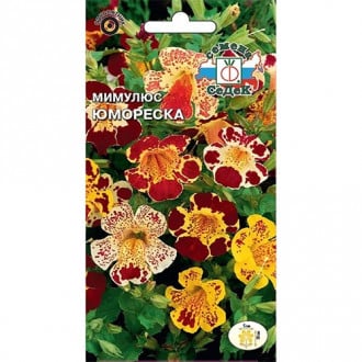 Мимулюс Юмореска, смесь окрасок изображение 4