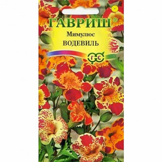 Мимулюс Водевиль, смесь окрасок изображение 8