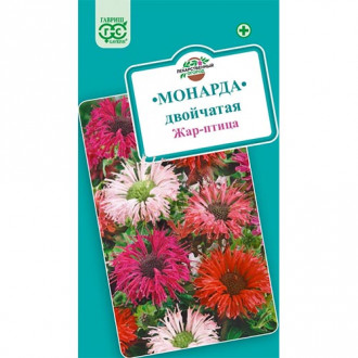 Монарда Жар-птица, смесь окрасок изображение 8