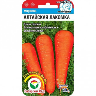 Морковь Алтайская лакомка, семена изображение 4
