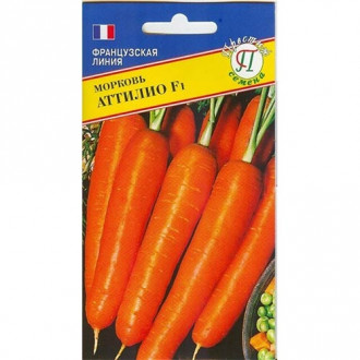 Морковь Аттилио Престиж изображение 1