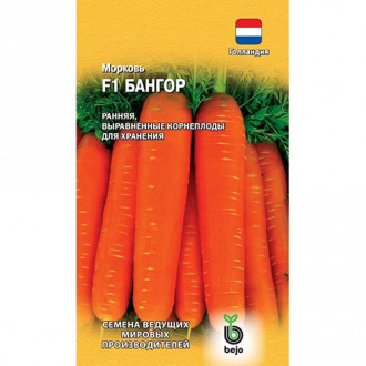 Морковь Бангор F1, семена изображение 3