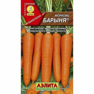 Морковь Барыня Аэлита изображение 6