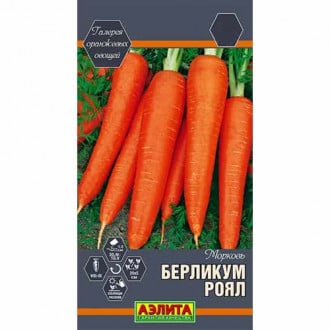 Морковь Берликум роял Аэлита изображение 3