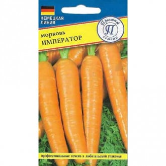 Морковь Император Аэлита изображение 3