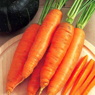 Морковь Карамель оранжевая, семена изображение 6