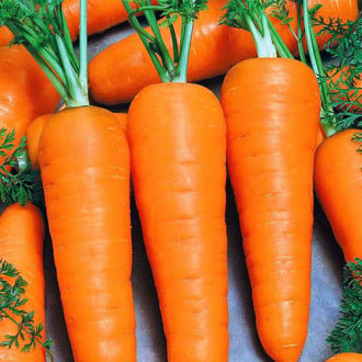 Морковь Корейская закуска Уральский дачник изображение 6