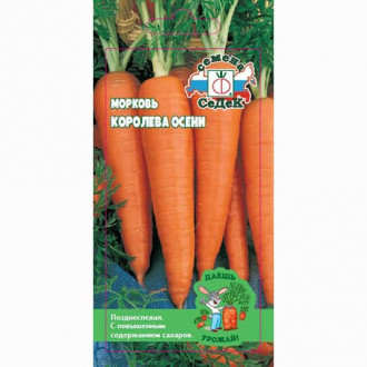Морковь Королева осени, семена изображение 1