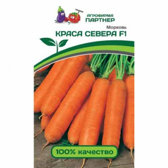 Морковь Краса Севера F1 Партнер изображение 4