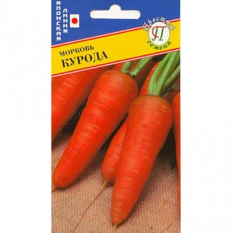 Морковь Курода-шантенэ Престиж изображение 2