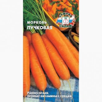 Морковь Пучковая Седек изображение 5