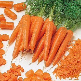 Морковь Семеновна F1 Premium Seeds изображение 1