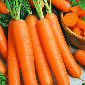 Морковь Шармель Premium Seeds изображение 4