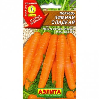 Морковь Зимняя сладкая Аэлита изображение 1