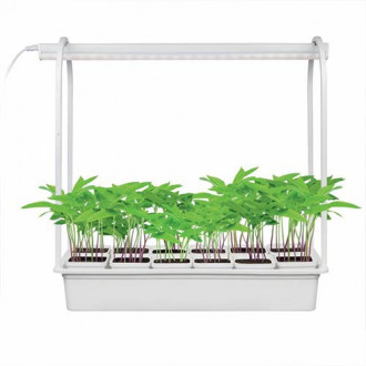 Набор Минисад для растений изображение 10