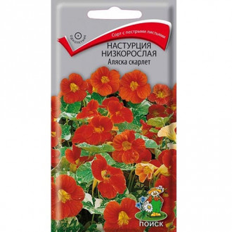 Настурция Аляска Скарлет, семена изображение 8