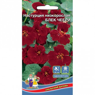 Настурция Блек черри, семена изображение 6