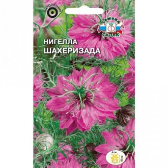 Нигелла дамасская Шахеризада, семена изображение 7