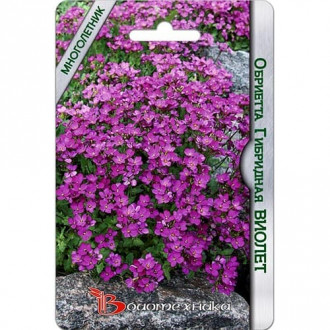 Обриета Виолет, семена изображение 12