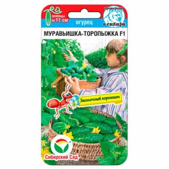 Огурец Муравьишка-торопыжка Сибирский сад изображение 4