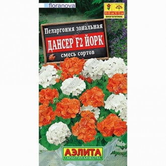Пеларгония зональная Дансер Йорк F2, смесь окрасок Аэлита изображение 6