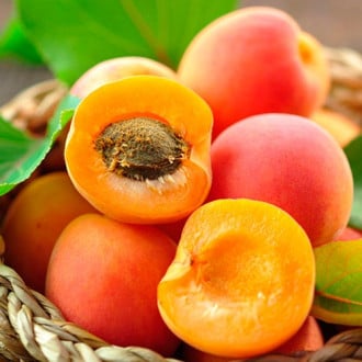 Персик - абрикос изображение 1
