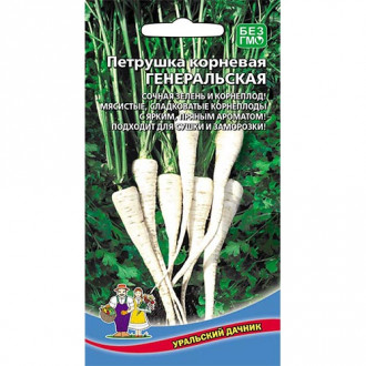 Петрушка корневая Генеральская, семена изображение 16