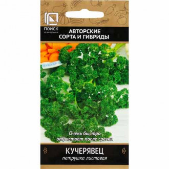 Петрушка кудрявая Кучерявец Поиск изображение 7