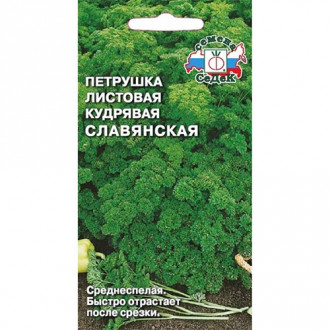 Петрушка кудрявая Славянская, семена изображение 7