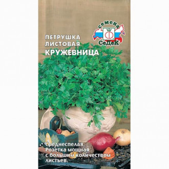 Петрушка листовая Кружевница Седек изображение 8