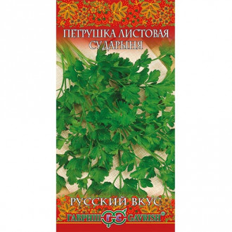 Петрушка листовая Сударыня, семена изображение 13