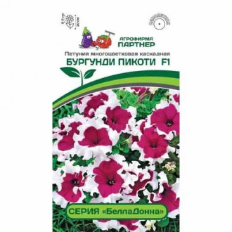 Петуния многоцветковая каскадная БеллаДонна Бургунди Пикоти F1 Партнер изображение 5