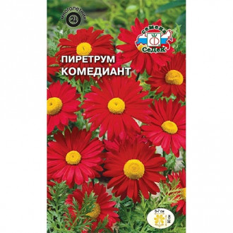 Пиретрум Комедиант, семена изображение 9