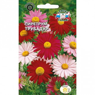 Пиретрум Трубадур, смесь окрасок изображение 10