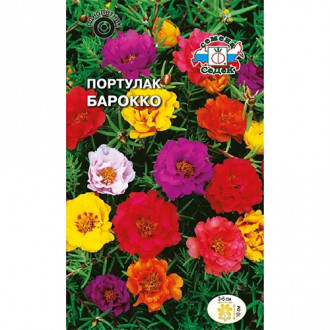 Портулак Барокко, смесь окрасок изображение 13