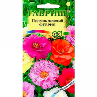 Портулак Феерия, смесь окрасок изображение 13