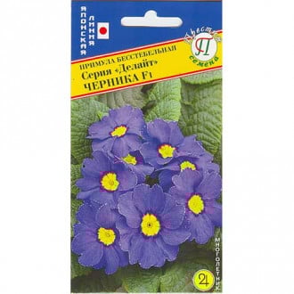Примула Делайт Черника F1 Престиж изображение 14