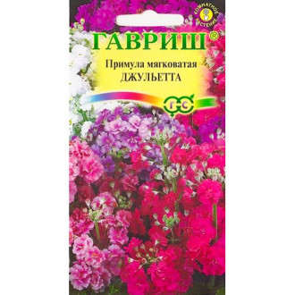 Примула Джульетта, смесь окрасок изображение 2