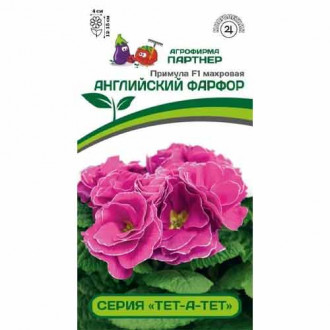 Примула махровая Тет-А-Тет Английский фарфор F1 Партнер изображение 14