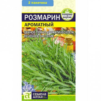 Розмарин Ароматный, семена изображение 10