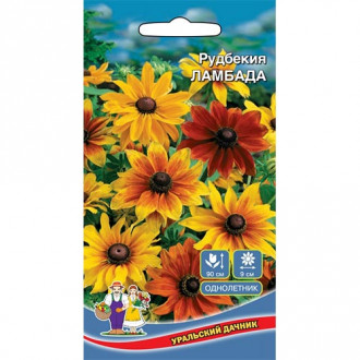 Рудбекия Ламбада, смесь окрасок изображение 12