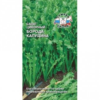 Салат цикорный Борода Капуцина, семена изображение 6